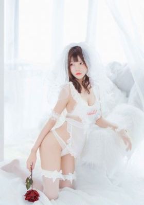 枸杞子的功效与作用