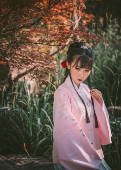斗破苍穹免费观看全集完整版