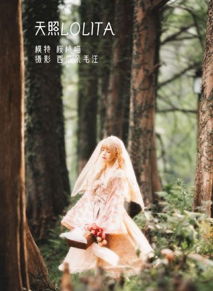 憧憬成为魔法少女全集