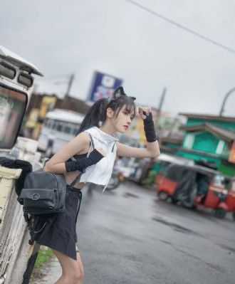 岳母的朋友