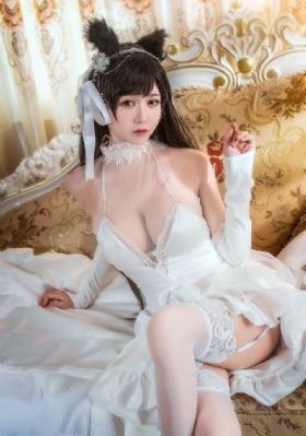 人狗情未了
